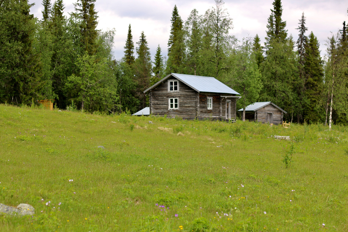 På en grön äng ligger en liten grånad timmerstuga med vita fönsterkarmar och ett ofärgat plåttak. I bakgrunden syns ett mindre uthus, granar och björkar.