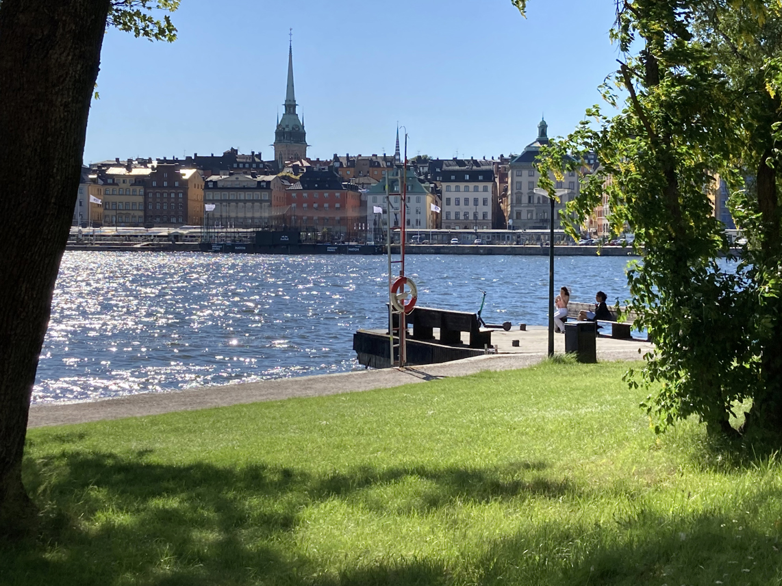 Visa bildspel