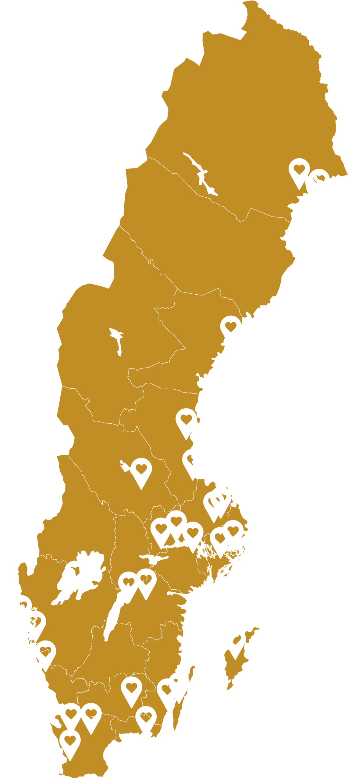 Visa bildspel