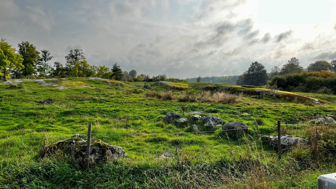 Hagmark vid Kungsbergs kungsgård