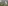Landsberga. Närbild på en vit höna som står bland rödklöver. I bakgrunden skymtar en till höna.