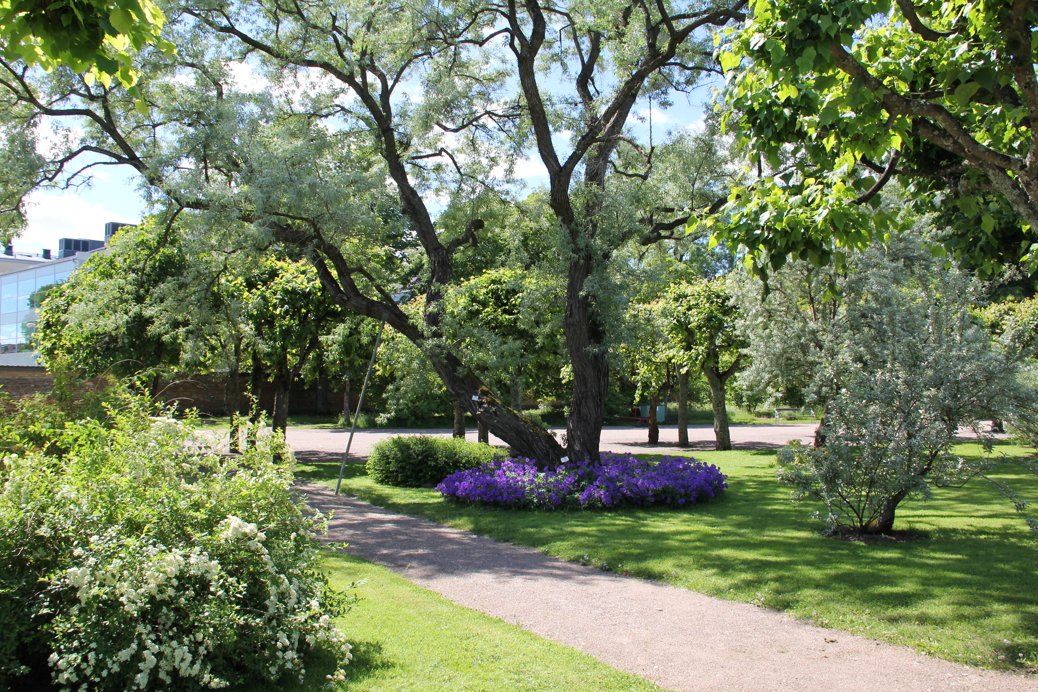Botaniska trädgården, Uppsala | SFV